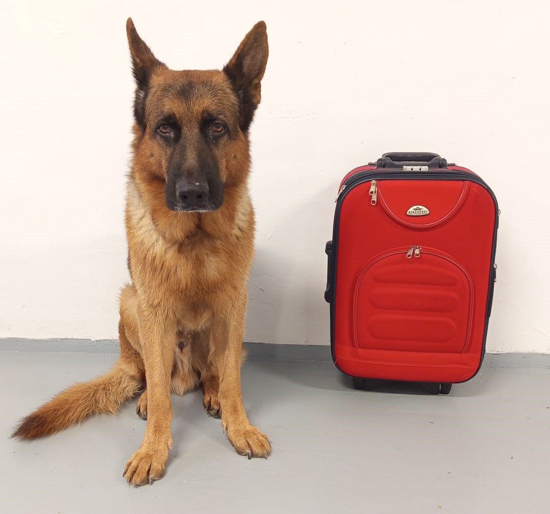 Carga especial y mudanzas